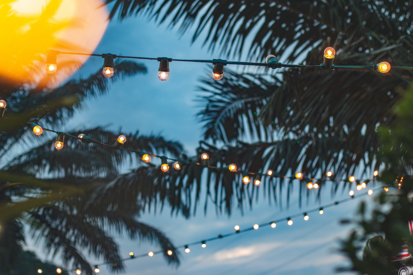 New Year's Eve at Treehouse